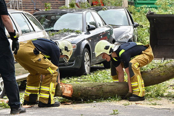 Feuerwehr_Baum   020.jpg